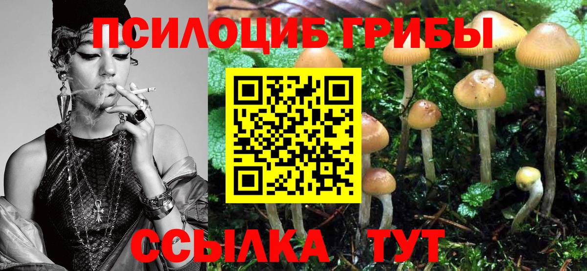 Галлюциногенные грибы Psilocybine cubensis  Псилоцибиновые грибы Psilocybe  даркнет сайт  Вход с VPN  Канаш 