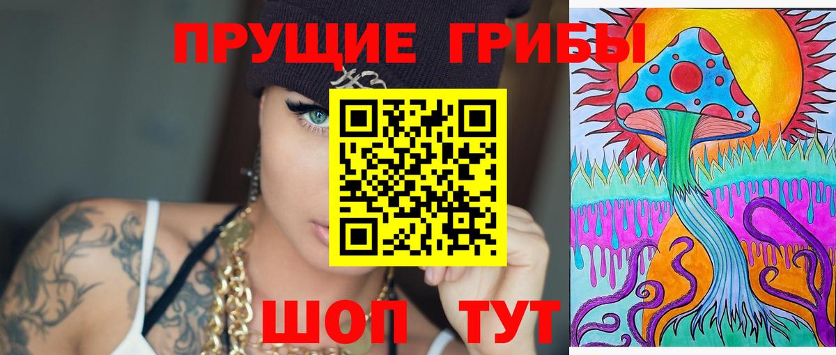 Псилоцибиновые грибы Cubensis Канаш